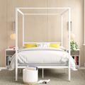 Ebern Designs Saretta Canopy Bed Metal in White | 72 H x 53.5 W x 75 D in | Wayfair 30597D8CDC7D4544A0DBDD09D6EE55F7