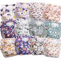 Littles and Bloomz Baby Reusable Pocket Nappy Cloth Diaper, Standard Hook-Loop, 12 Nappies, FLV2-1202