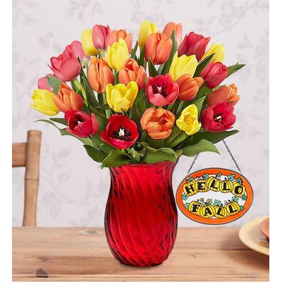 Assorted Fall Tulips 30 Stems with Red Vase & Suncatcher by 1-800 Flowers