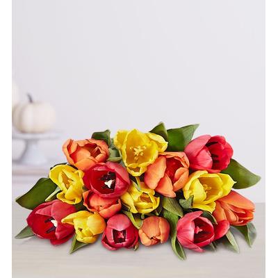 Harvest Spice Tulips Bouquet Only by 1-800 Flowers