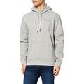 Champion Men's Legacy Classic Small Logo 214749 Hooded Sweatshirt, Light Heather Gray, XL