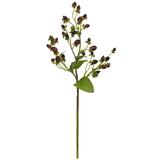 17" Italian Coffee Bean Artificial Flower (Set of 8) - h: 17 in. w: 8 in. d: 3 in