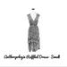 Anthropologie Dresses | Gorgeous Anthropologie Ruffled Dress - Small | Color: Black/White | Size: S