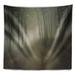 East Urban Home Polyester Forest Road in Morning Tapestry w/ Hanging Accessories Included Polyester in Gray/Green | 50 H x 60 W in | Wayfair