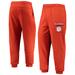 Men's Nike Orange Clemson Tigers 2021 Sideline Performance Pants