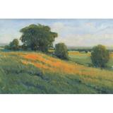 Winston Porter Poppy Fields I by Timothy O' Toole - Wrapped Canvas Painting Canvas in Green/Orange | 8 H x 12 W x 1.25 D in | Wayfair