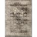 Alexander Home Contessa Traditional Medallion Distressed Rug