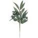 Sullivans Artificial California Eucalyptus Stem 22"H Green - 15"L x 2"W x 22"H