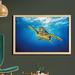 East Urban Home Ambesonne Turtle Wall Art w/ Frame, Eretmochelys Imbricata Swimming In Blue Waters Sun Rays Oceanic Wildlife | Wayfair