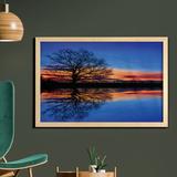 East Urban Home Ambesonne Nature Wall Art w/ Frame, Majestic Full Branch Tree At Twilight w/ Water Reflection Out Nature View | Wayfair