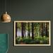 East Urban Home Ambesonne Forest Wall Art w/ Frame, Pathway In A Shady Forest Of Bushes & Thick Trunks Grass Unique Wild Life Scenery | Wayfair