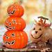 The Holiday Aisle® Lighted Halloween Decor Ceramic Lantern Ceramic | 11 H x 6 W x 6 D in | Wayfair A43F1D723EC140168896F7B609960129