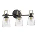 Hinkley Easton Vanity Light - 51273BK