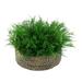 Primrue 9" Artificial Succulent in Small Seagrass Tray Basket Plastic/Wicker/Rattan in Gray | 9 H x 16 W x 16 D in | Wayfair