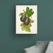 Gracie Oaks Antique Fruit VI by Vision Studio - Wrapped Canvas Painting Canvas in Brown/Green/White | 19 H x 14 W x 2 D in | Wayfair