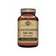 Solgar L-Glutamine 500 mg Vegetable Capsules - Pack of 250 - Fuel For Muscles - Supports An Active Healthy Lifestyle - Vegan and Gluten Free