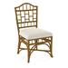 Braxton Culler Chippendale Side Dining Chair Upholstered/Wicker/Rattan in Green/Blue/Yellow | 40 H x 22 W x 25 D in | Wayfair