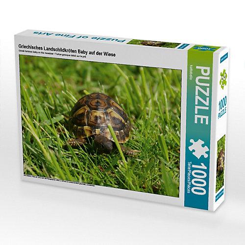 Puzzle Griechisches Landschildkröten Baby auf der Wiese Foto-Puzzle Bild von Kattobello Puzzle
