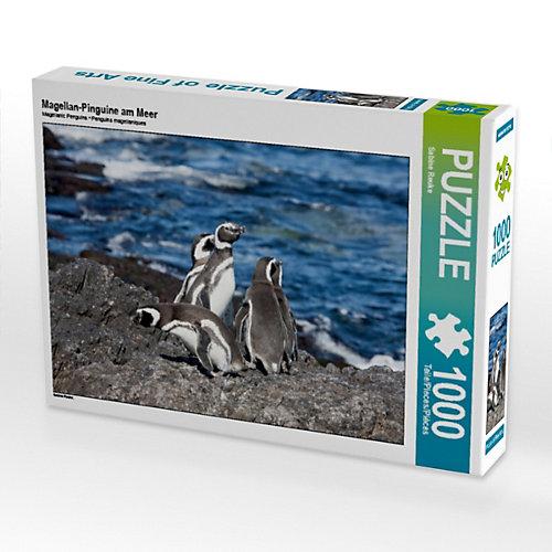 Puzzle Magellan-Pinguine am Meer Foto-Puzzle Bild von Sabine Reuke Puzzle