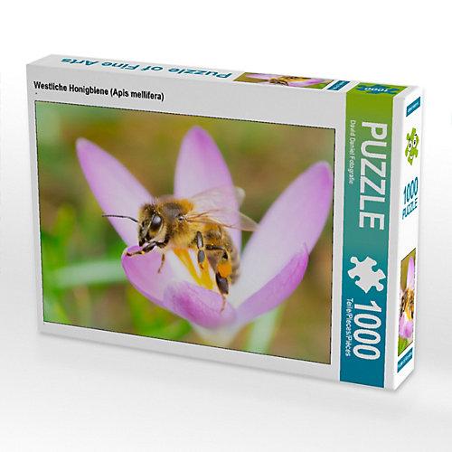 Puzzle Westliche Honigbiene (Apis mellifera) Foto-Puzzle Bild von David Daniel Fotografie