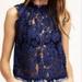 Free People Tops | Free People Navy Lace Sheer Halter Top, Size S | Color: Blue | Size: S