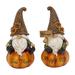 The Holiday Aisle® 2 Piece Harvest Gnome Sitter Set Resin | 8.87 H x 4.33 W x 4.14 D in | Wayfair 07791E621CE047ABAF121613BA70310A