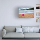 Highland Dunes Beach Treasures 4 by Dennis Frates - Wrapped Canvas Photograph Metal in Blue/Brown/Gray | 22 H x 32 W x 2 D in | Wayfair
