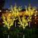 Arlmont & Co. Solar Lights Outdoor Garden Decorative, Canola Flowers Design, Pathway Light Dusk to Dawn Resin/ in Yellow | Wayfair