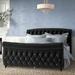 Willa Arlo™ Interiors Aster Tufted Low Profile Sleigh Bed Upholstered/Velvet, Wood in Black | 55 H x 80 W x 100 D in | Wayfair