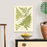 Red Barrel Studio® Ferns w/ Platemark VI Canvas Wall Art Canvas in Green | 24 H x 18 W x 1 D in | Wayfair 731A0A65EB814FEB83651D63BCC623A7