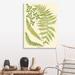 Red Barrel Studio® Ferns w/ Platemark III Canvas Wall Art Metal in Green | 40 H x 30 W x 1 D in | Wayfair 4F2B1158C6D84F158EB888B4F34373B7