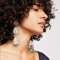 Free People Jewelry | Free People Beachwood Earrings | Color: Brown | Size: Os