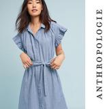 Anthropologie Dresses | Anthropologie - Piper Flutter-Sleeve Shirt Dress | Color: White/Gray | Size: L