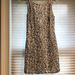Zara Dresses | Daisy Print Zara Dress | Color: Brown | Size: M