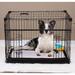 Tucker Murphy Pet™ Seaforth Pet Crate w/ Sliding Double Door in White | 27 H x 24 W x 36 D in | Wayfair CDDDF154168E4199AC537DD29634C08A