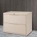 Interion 2-Drawer Lateral Filing Cabinet Metal/Steel in Brown | 28 H x 36 W x 18 D in | Wayfair 252469PY
