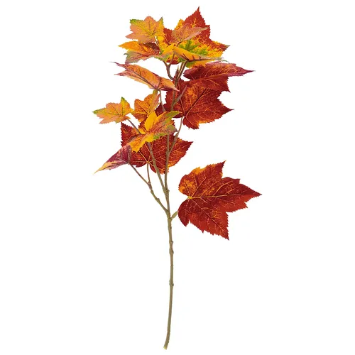 Branche d'érable, 45 cm