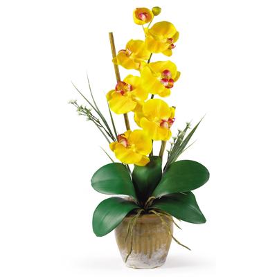 Single Stem Phalaenopsis Silk Orchid Arrangement -...