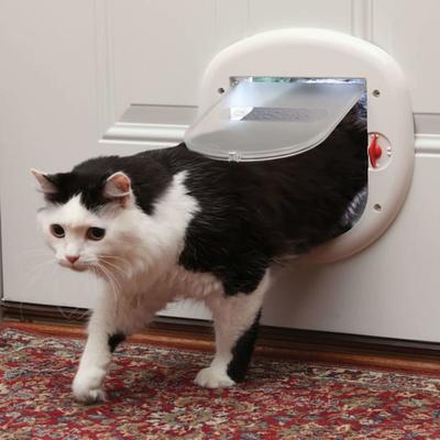 PetSafe Exterior / Interior Cat Door - Big Cat 4-Way Locking Pet Door Flap for Large Cats - Tinted Privacy Door