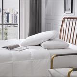 Beautyrest White Feather And Down Fiber Pillow (Set of 2)