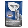 Concept for Life British Shorthair Adult (a base di pregiato ragù) - Set %: 24 x 85 g