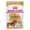 Royal Canin Bassotto (Dachshund) Adult Crocchette - Come integrazione: 24 x 85 g Umido Royal Canin Dachshund