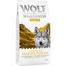 Multipack risparmio! 2 x 12 kg Wolf of Wilderness Explore Crocchette per cani - Explore The Endless Terrain - Mobility