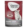 Concept for Life Maine Coon Adult (a base di pregiato ragù) - Set %: 48 x 85 g