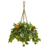 31" Bromeliad & Pothos Artificial Plant in Hanging Basket