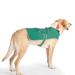 Green Dog Rain Coat, Small