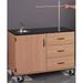 Stevens ID Systems Science Instructor's Desk, Stainless Steel in Brown | 36 H x 48 W x 24 D in | Wayfair 84322 K36-058-04