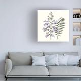 Red Barrel Studio® Graceful Botanical III by Vision Studio - Wrapped Canvas Painting Canvas, Wood in Gray/Green/White | 24 H x 24 W x 2 D in | Wayfair