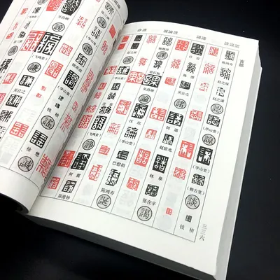 Livre d'apprentissage de la calligraphie chinoise 395pages livre de découpe du sceau chinois