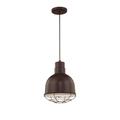 Millennium Lighting R Series 10 Inch Mini Pendant - RDBC10-ABR